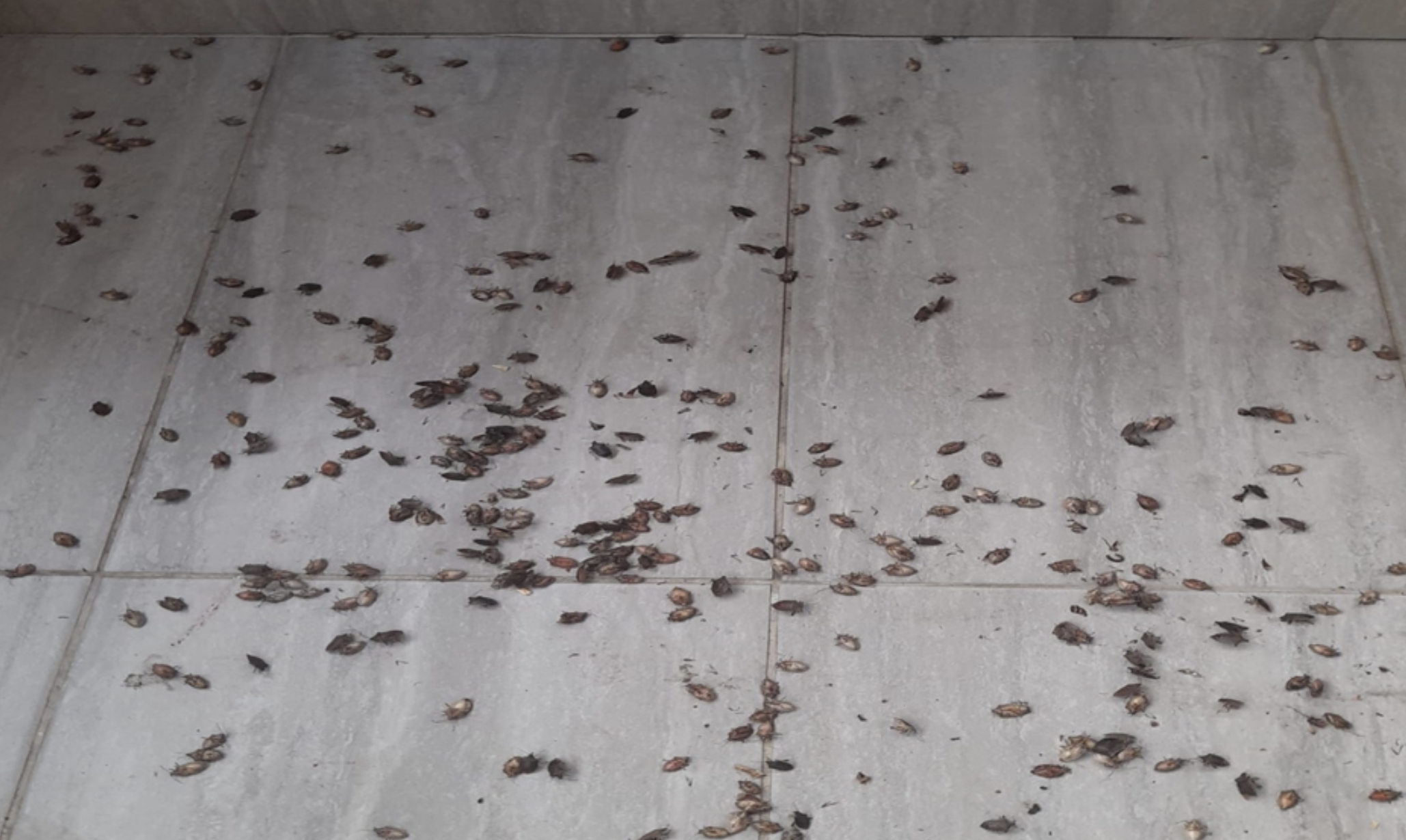 Ekran Resmi 2025 10 08 11.33.09