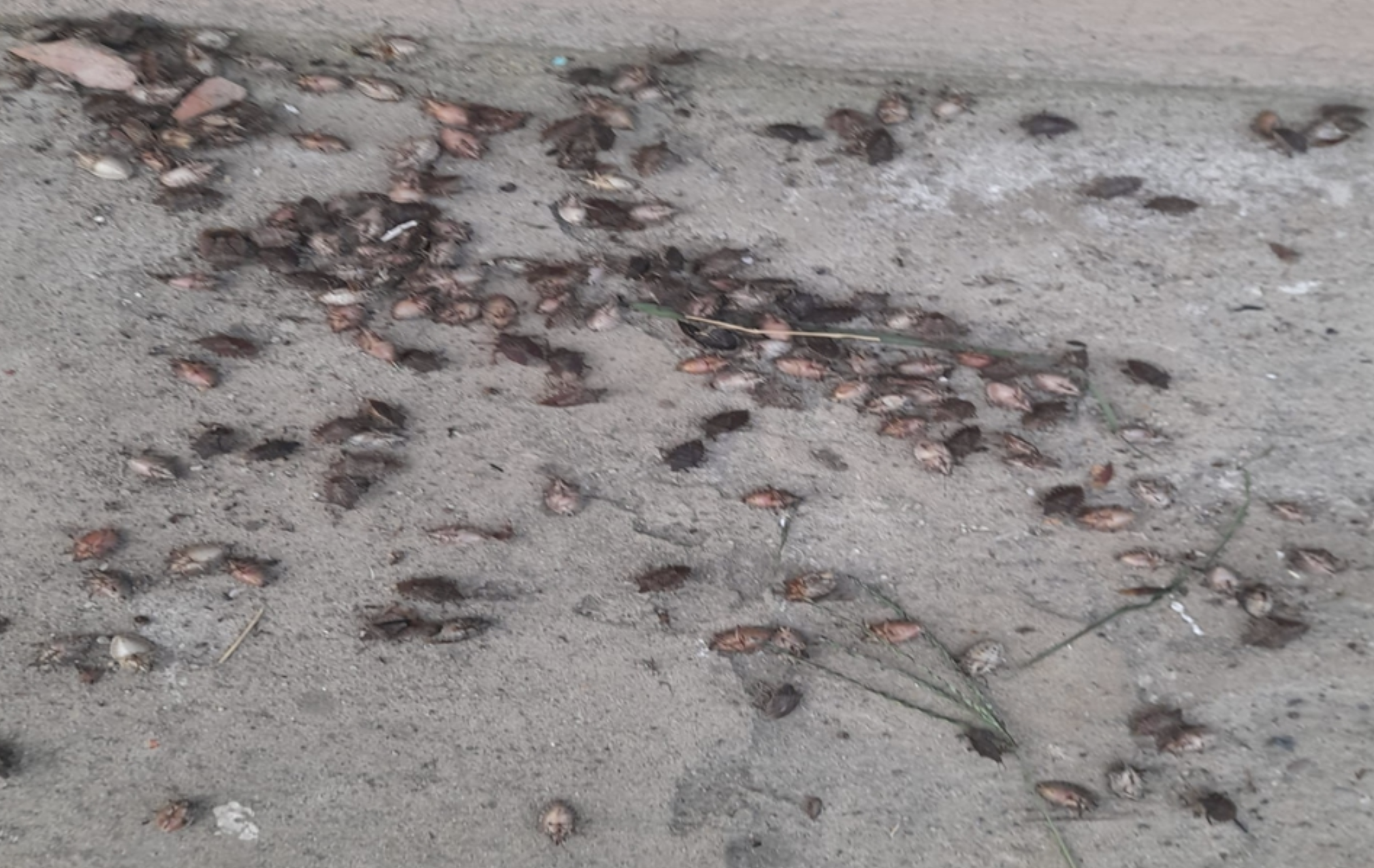 Ekran Resmi 2025 10 08 11.33.15