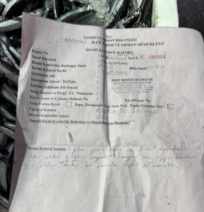 Ekran Resmi 2025 10 08 12.31.34