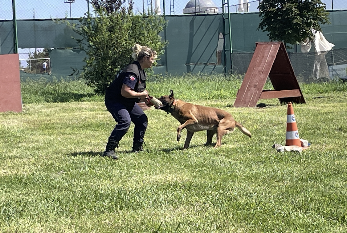 Ekran Resmi 2025 10 09 12.02.51