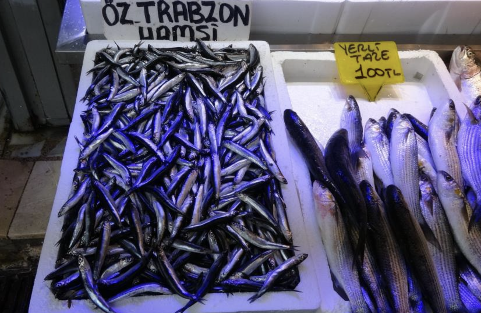 Ekran Resmi 2025 10 10 14.22.50