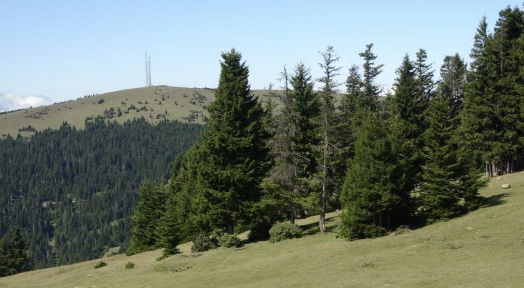 Ekran Resmi 2025 10 13 09.41.10