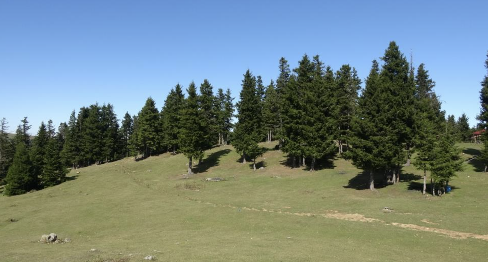 Ekran Resmi 2025 10 13 09.41.16