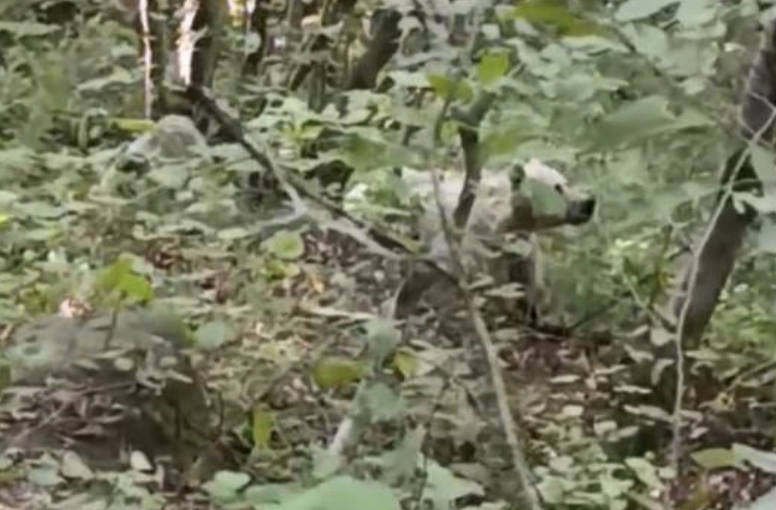 Ekran Resmi 2025 10 15 10.38.52