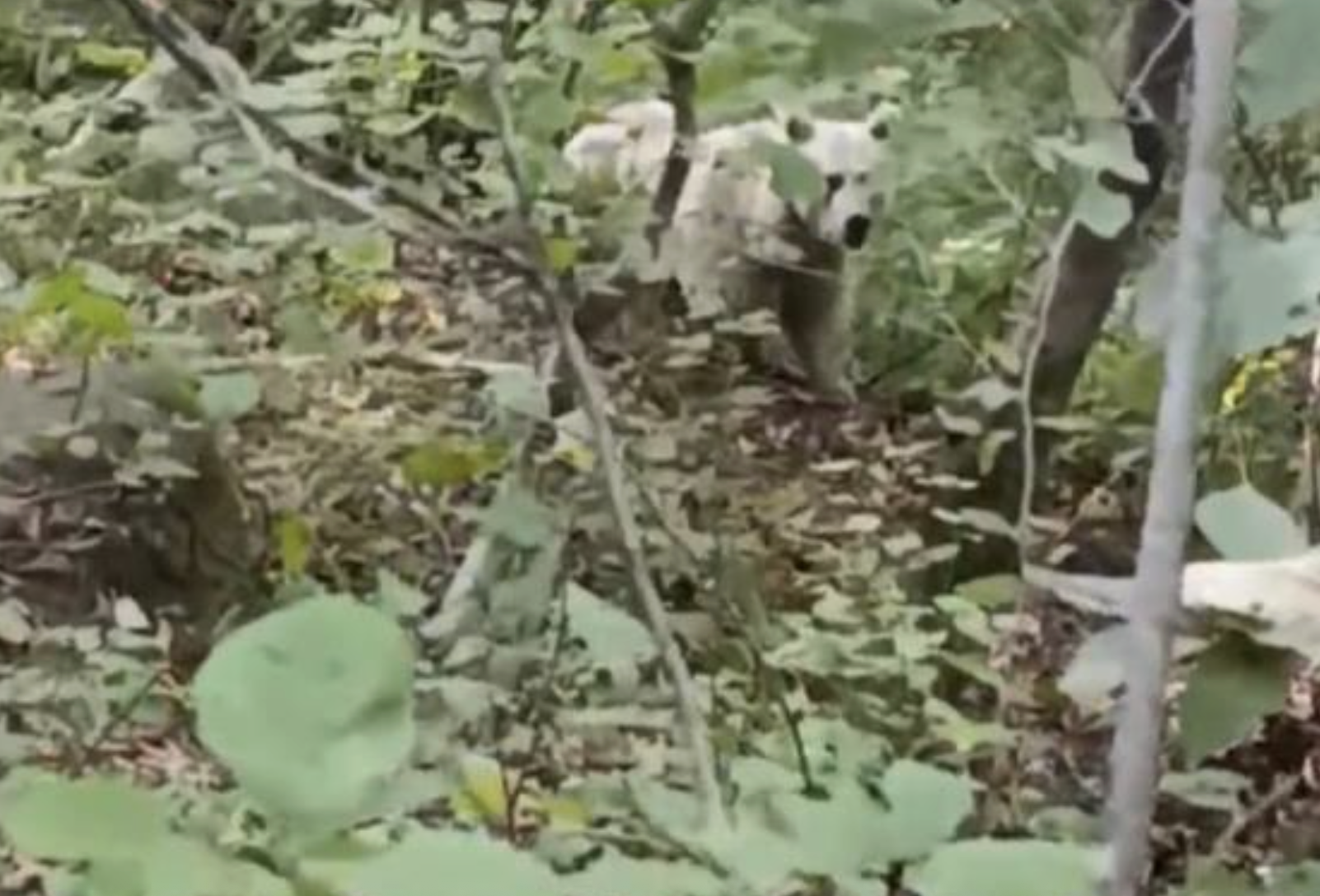 Ekran Resmi 2025 10 15 10.39.03