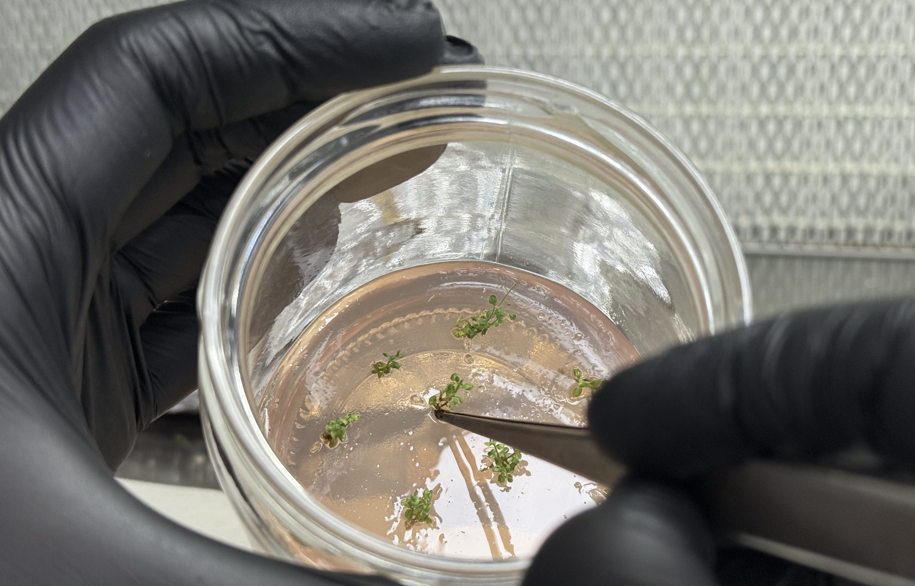 Ekran Resmi 2025 10 23 12.24.02