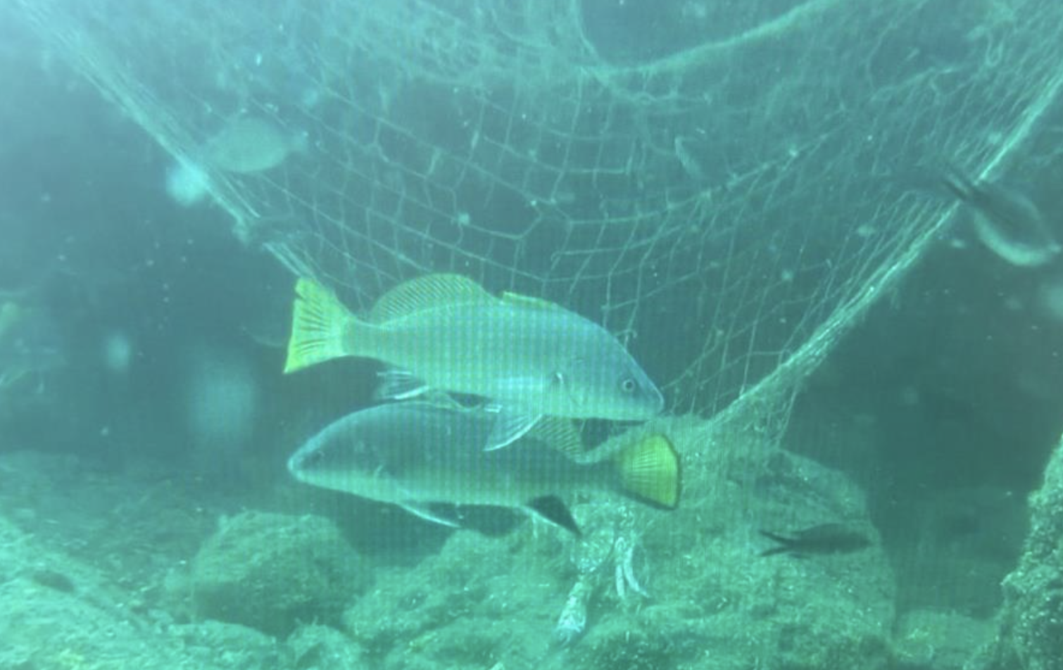 Ekran Resmi 2025 10 30 10.28.10