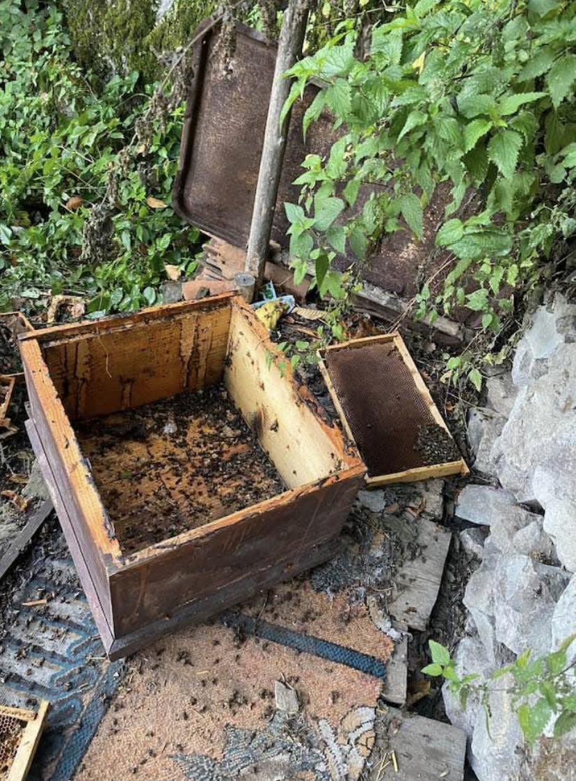 Ekran Resmi 2025 10 30 19.05.10