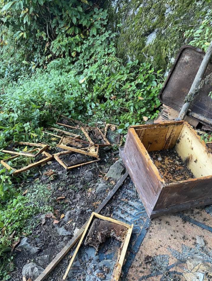 Ekran Resmi 2025 10 30 19.05.15