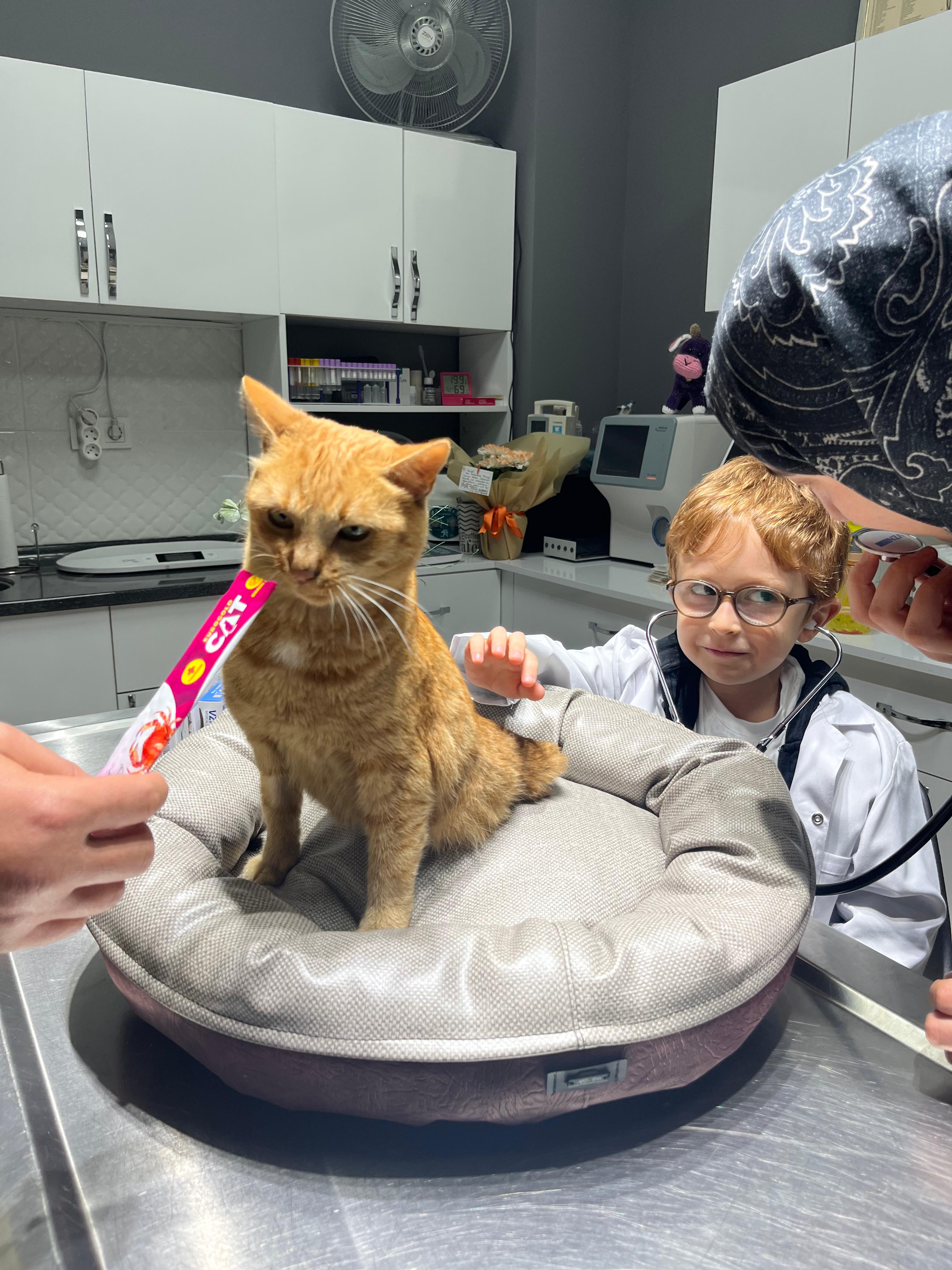 Whatsapp Image 2025 10 14 At 20.19.21 (1)