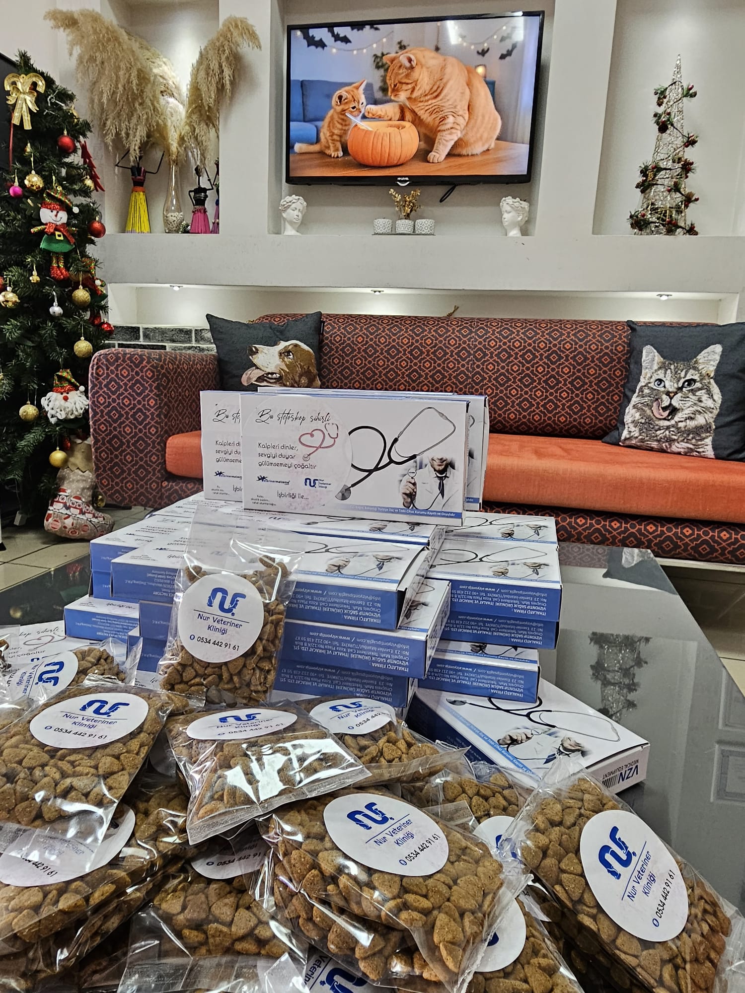 Whatsapp Image 2025 10 14 At 20.19.21 (2)