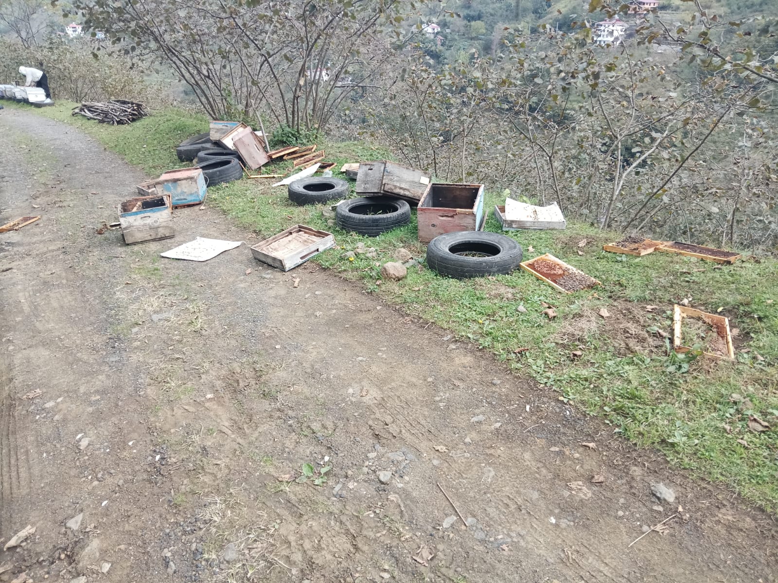 Whatsapp Image 2025 10 26 At 21.33.23 (1)