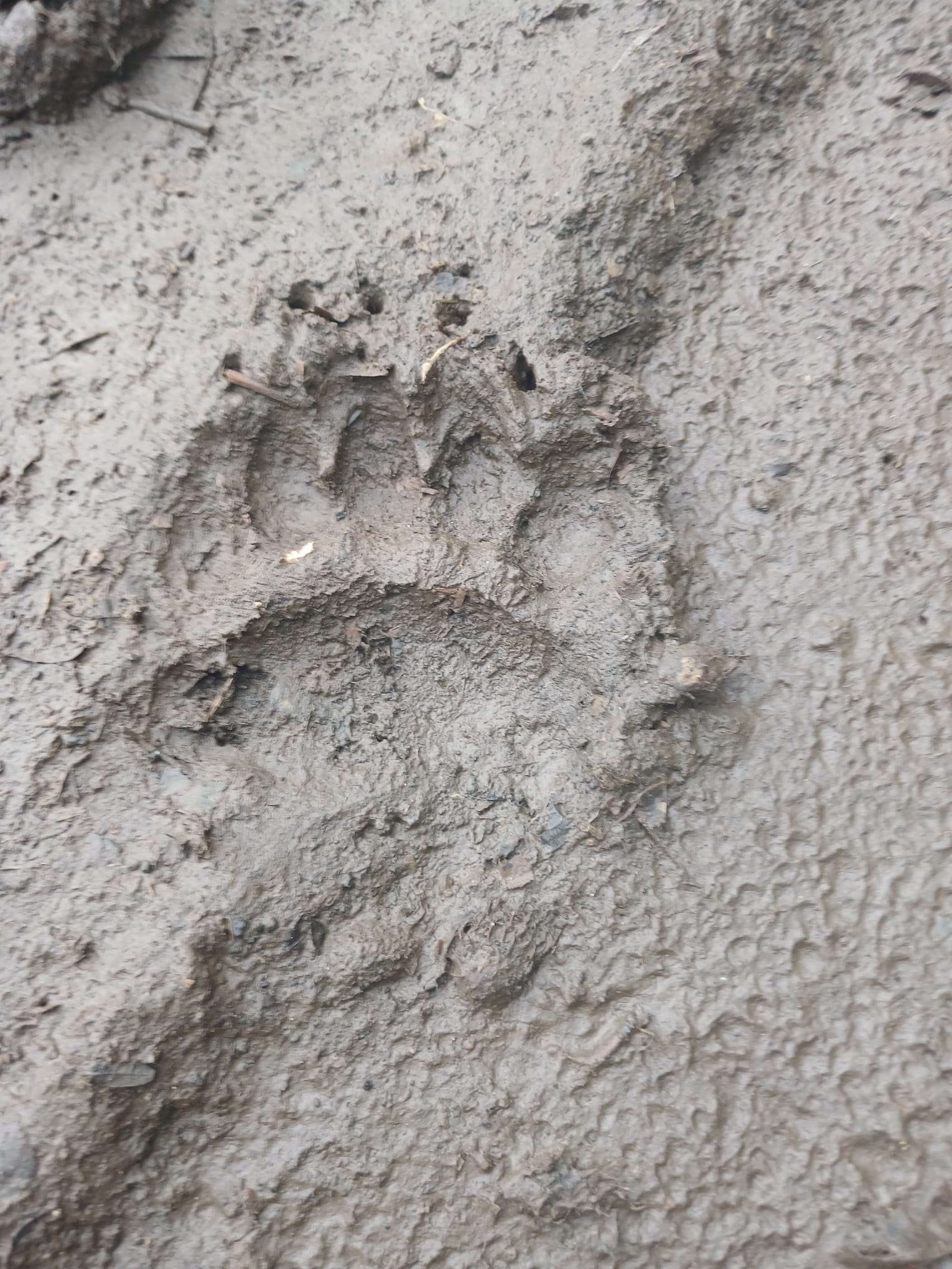 Whatsapp Image 2025 10 26 At 21.33.23