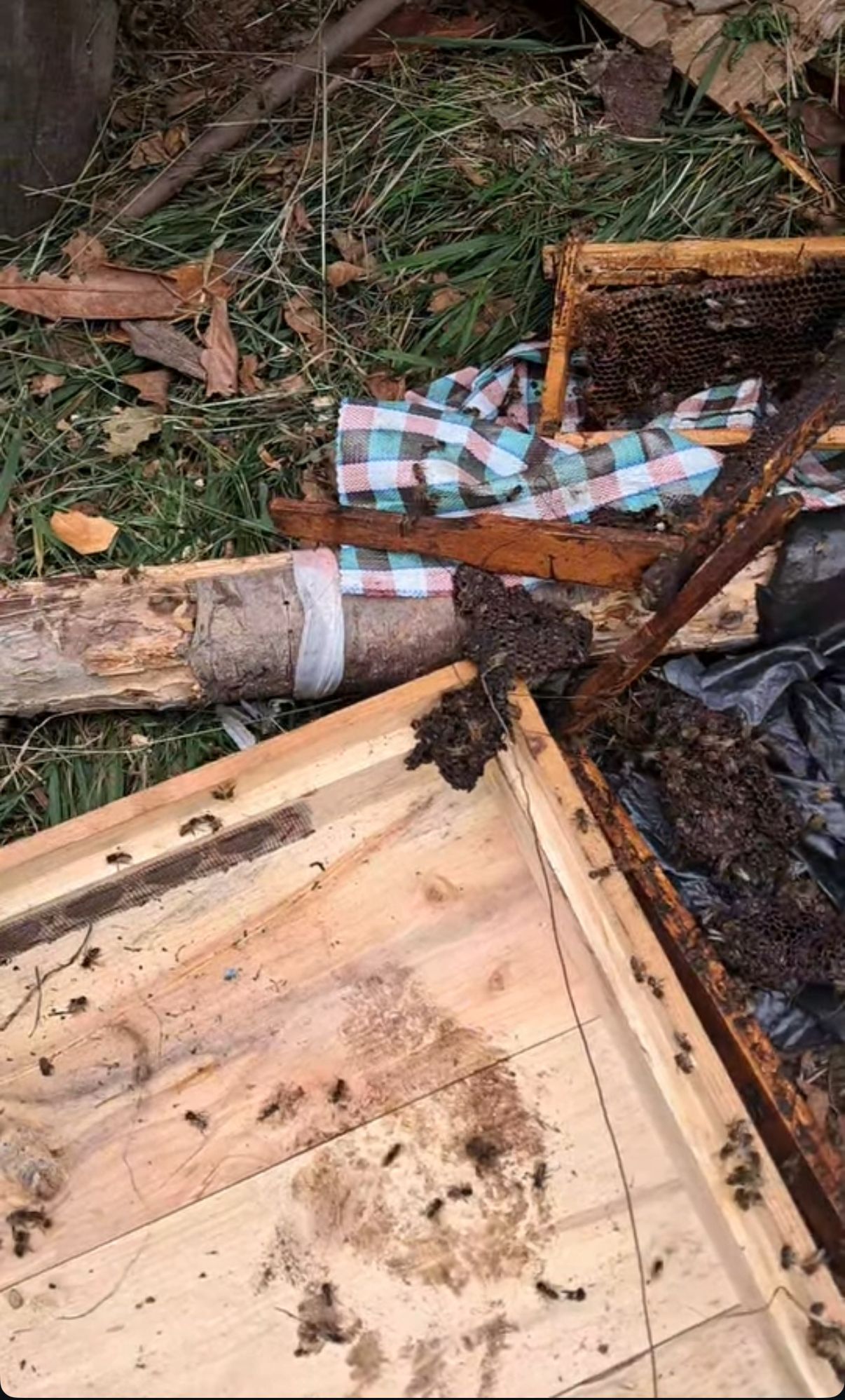 Whatsapp Image 2025 10 28 At 14.30.48 (1)