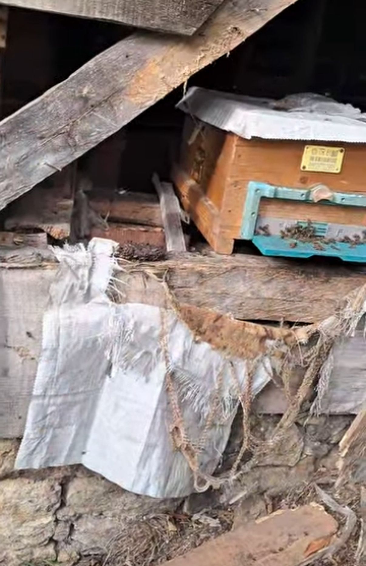 Whatsapp Image 2025 10 28 At 14.30.48 (2)