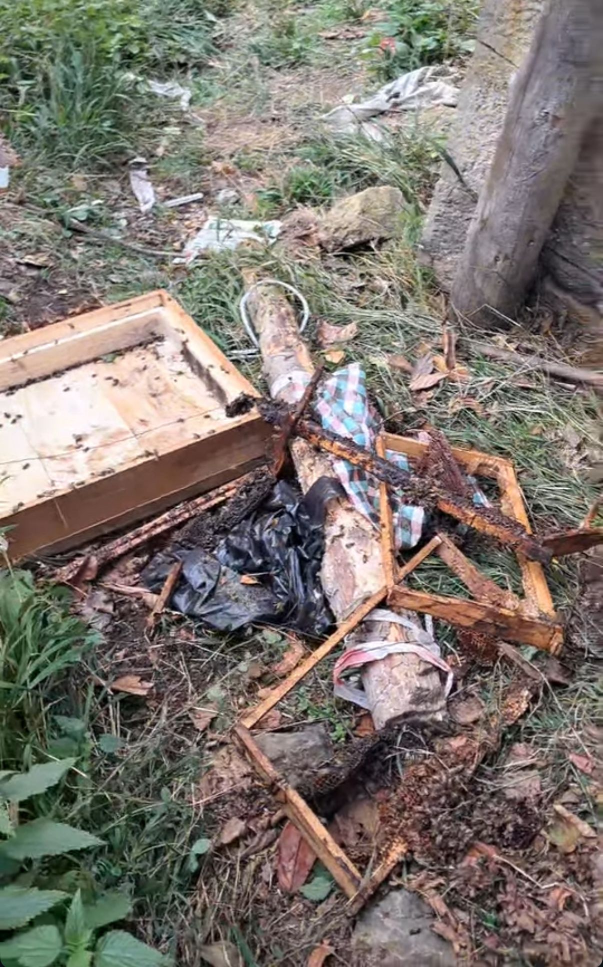 Whatsapp Image 2025 10 28 At 14.30.48