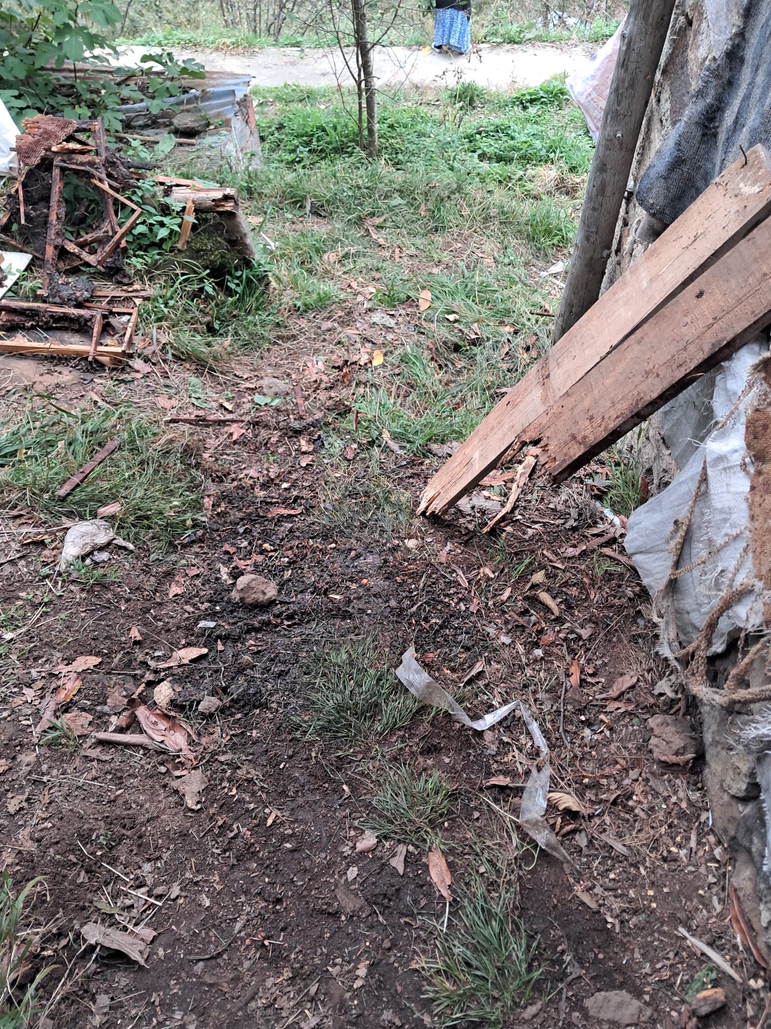 Whatsapp Image 2025 10 28 At 14.33.08 (1)