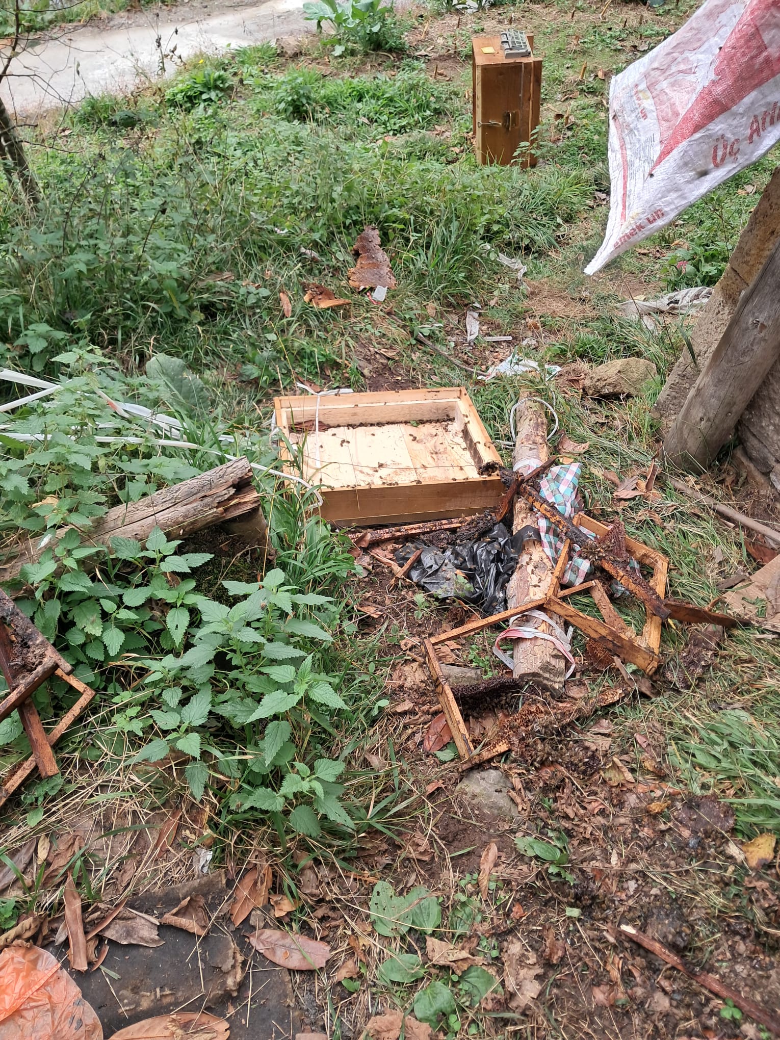 Whatsapp Image 2025 10 28 At 14.33.08 (2)