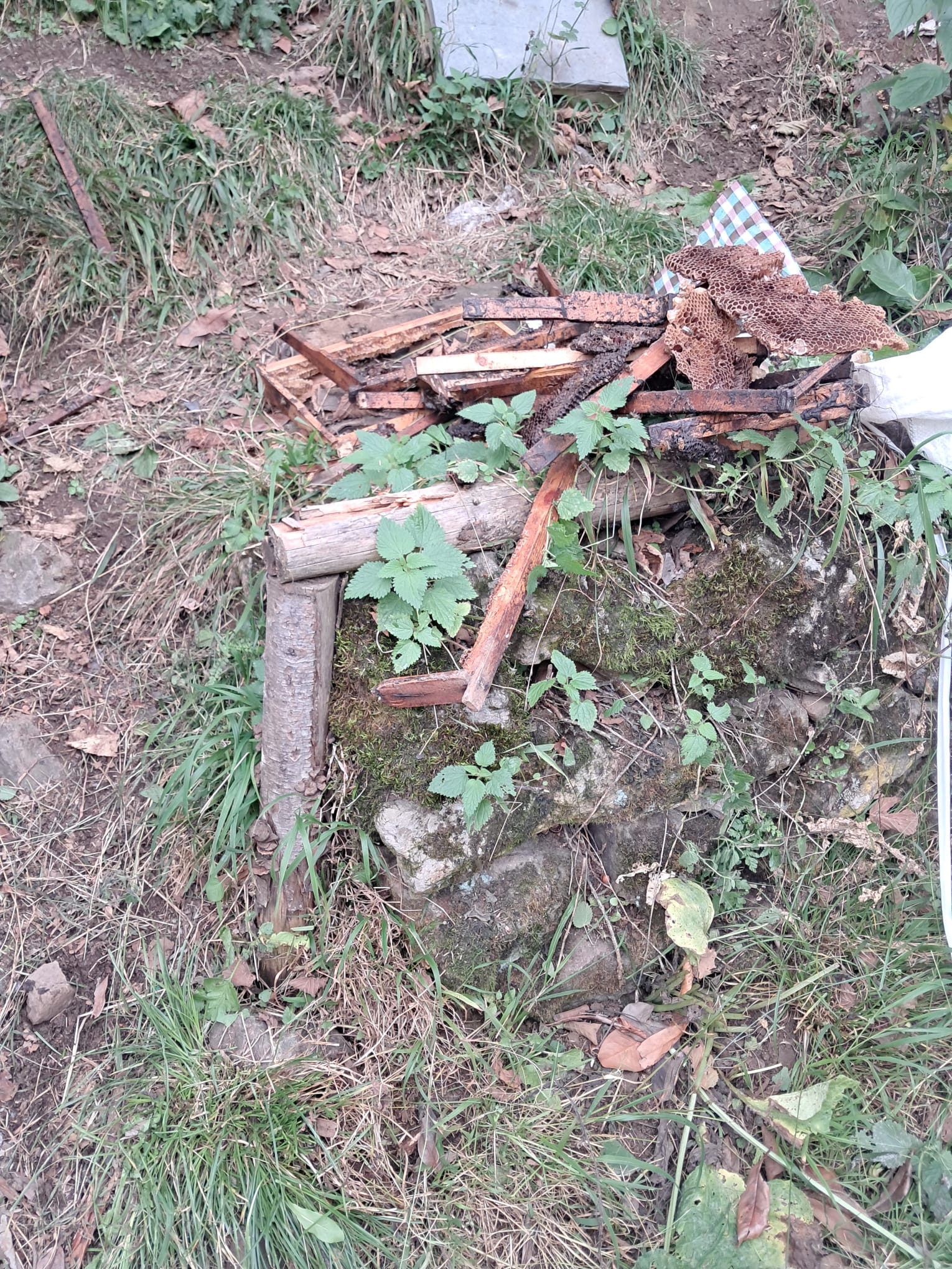 Whatsapp Image 2025 10 28 At 14.33.08 (3)