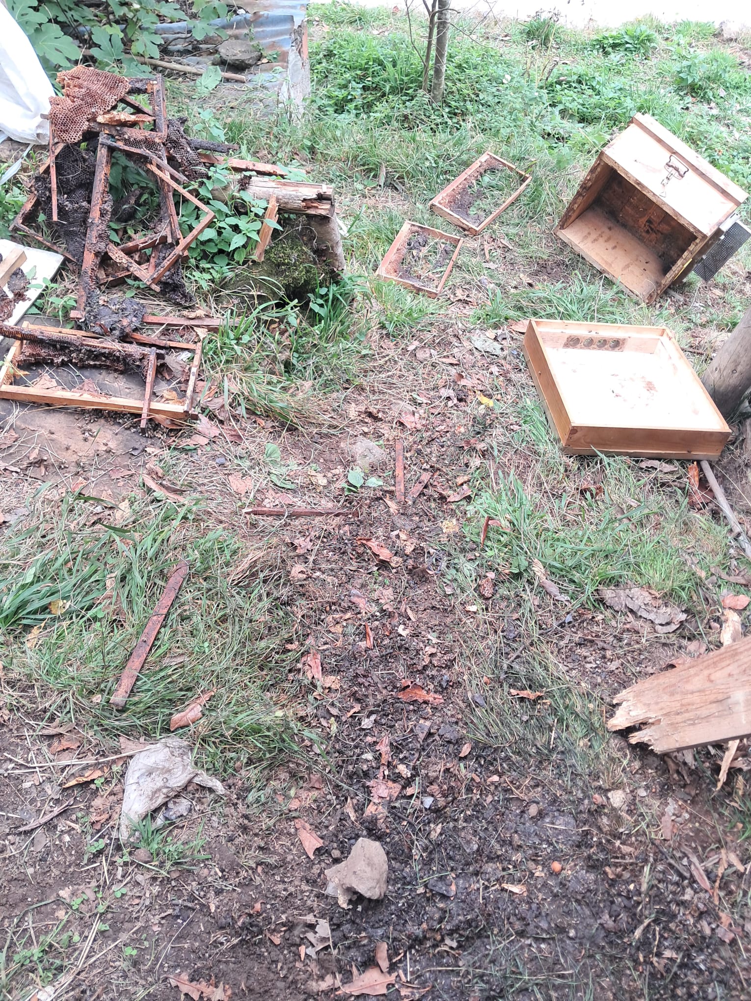 Whatsapp Image 2025 10 28 At 14.33.08