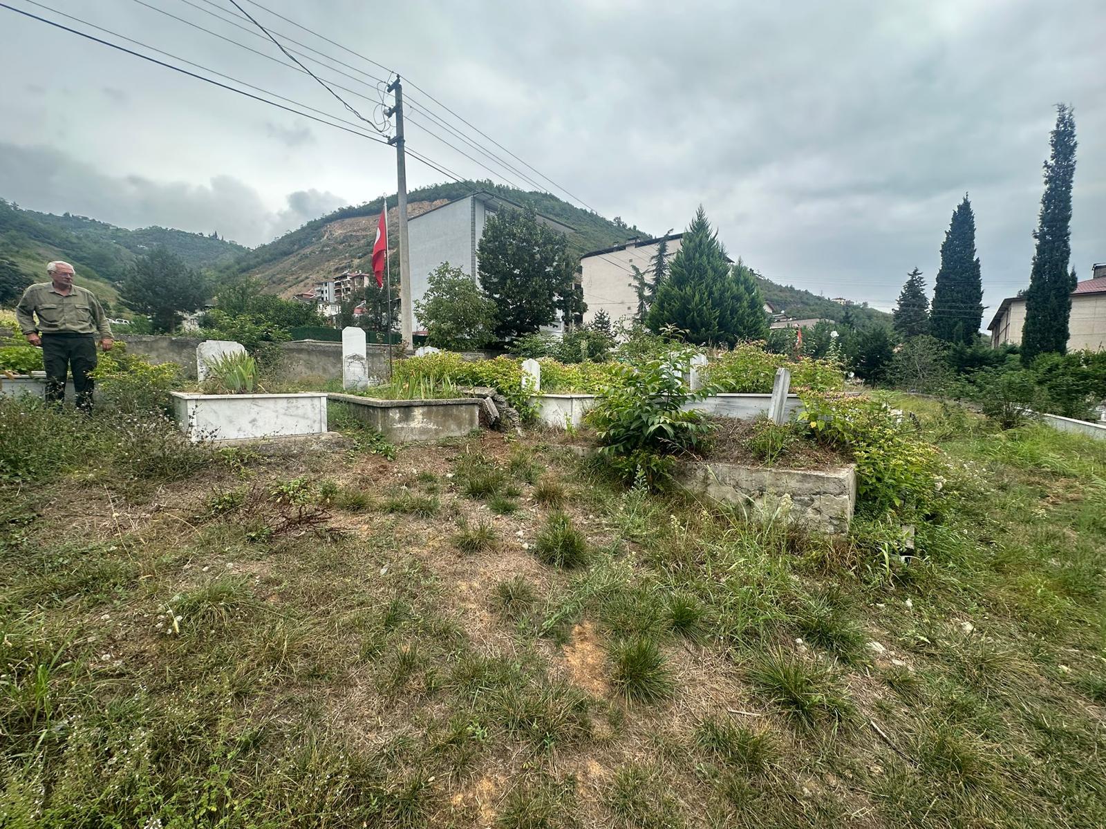 859168Fb 8582 4A10 B684 9B2Db44A7A8C