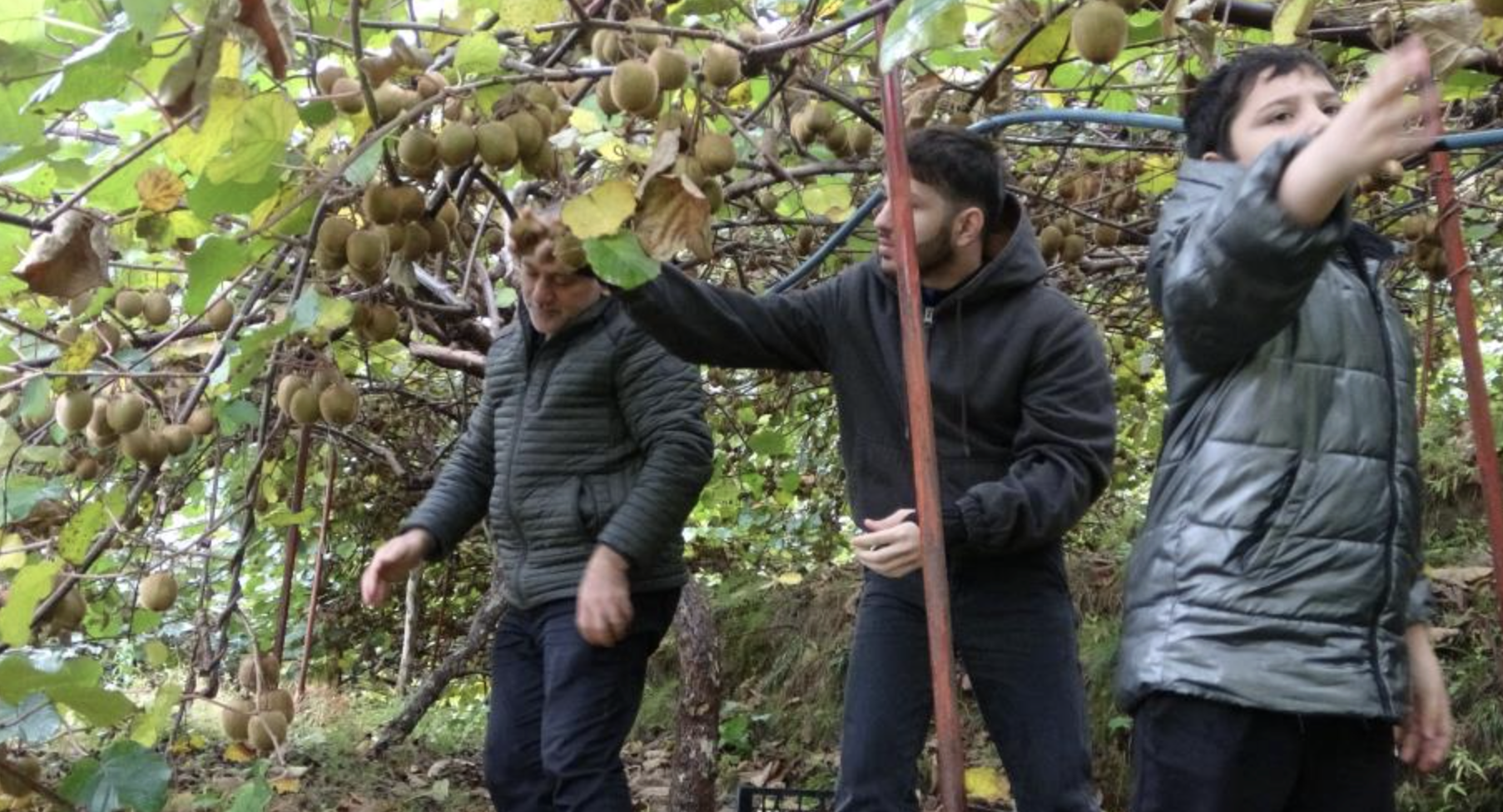 Ekran Resmi 2025 11 16 13.21.30