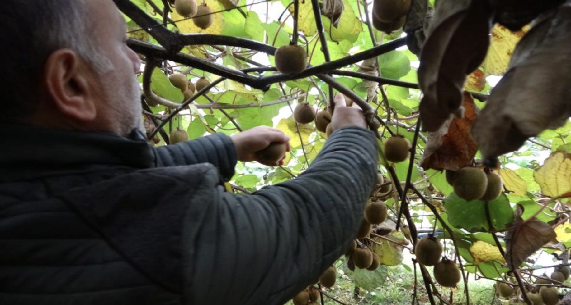 Ekran Resmi 2025 11 16 13.21.42