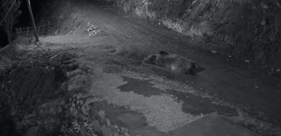 Ekran Resmi 2025 11 18 09.39.05