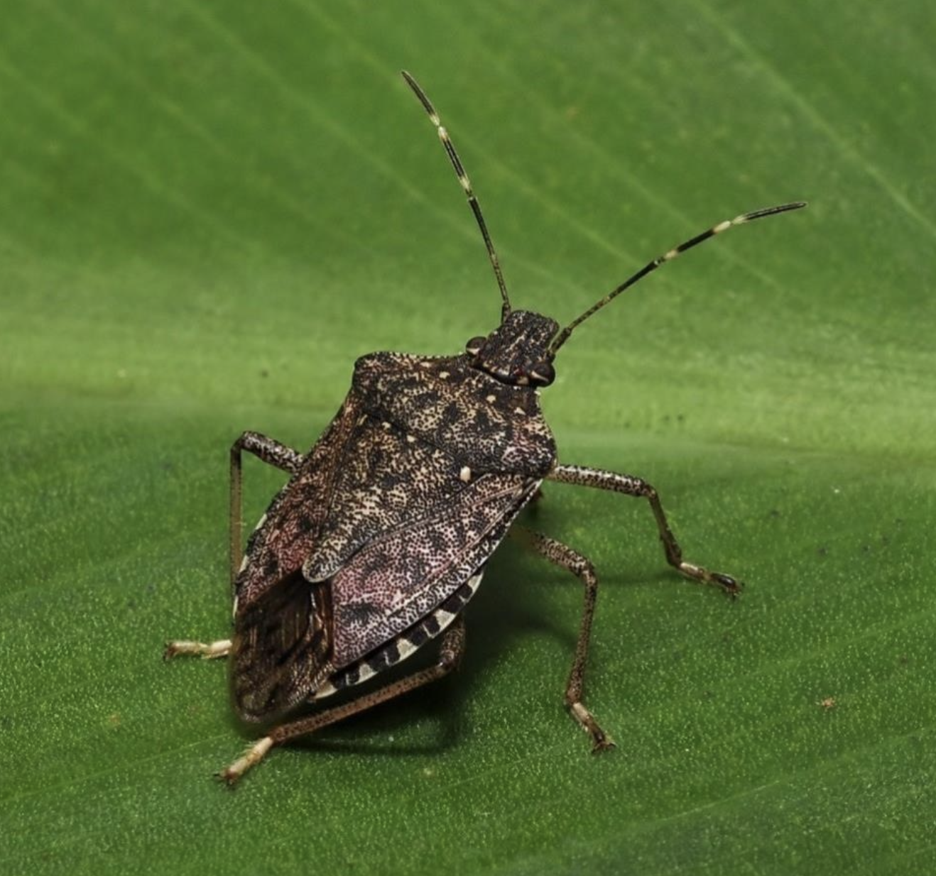 Ekran Resmi 2025 11 19 10.37.21