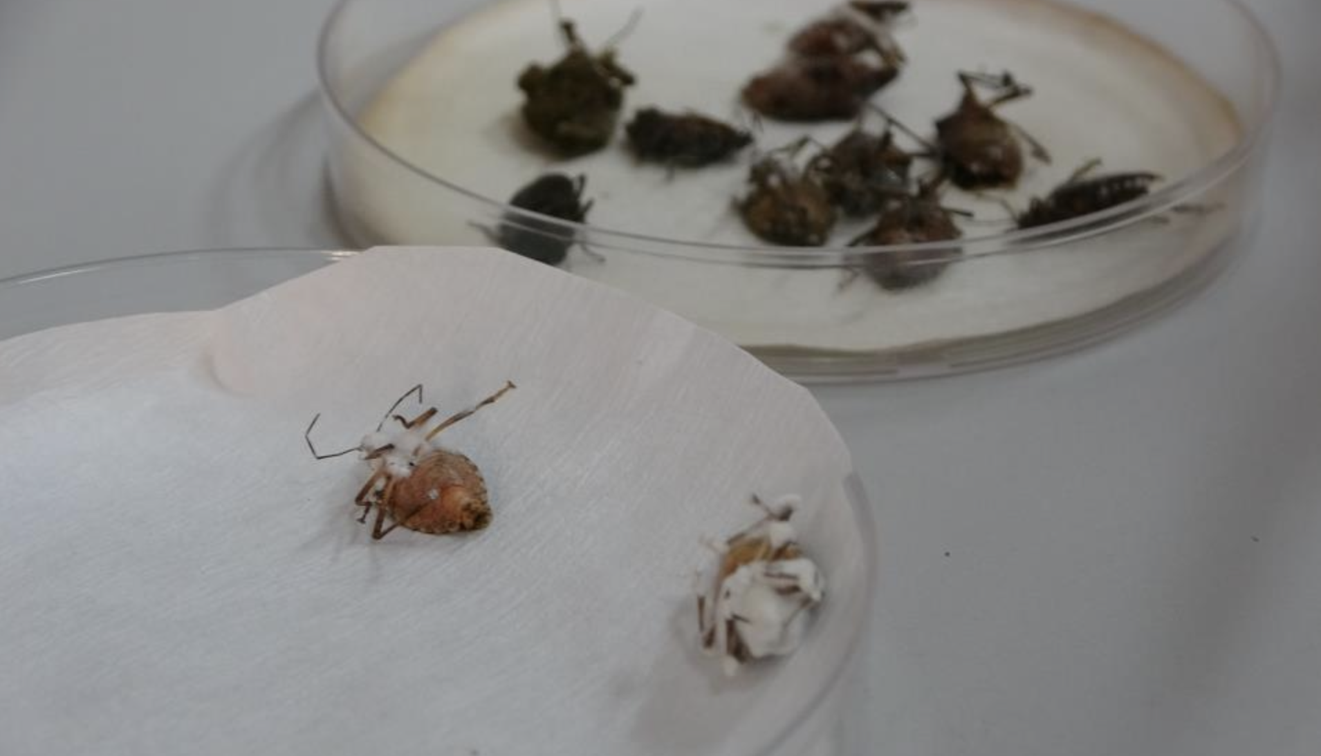 Ekran Resmi 2025 11 19 10.37.25