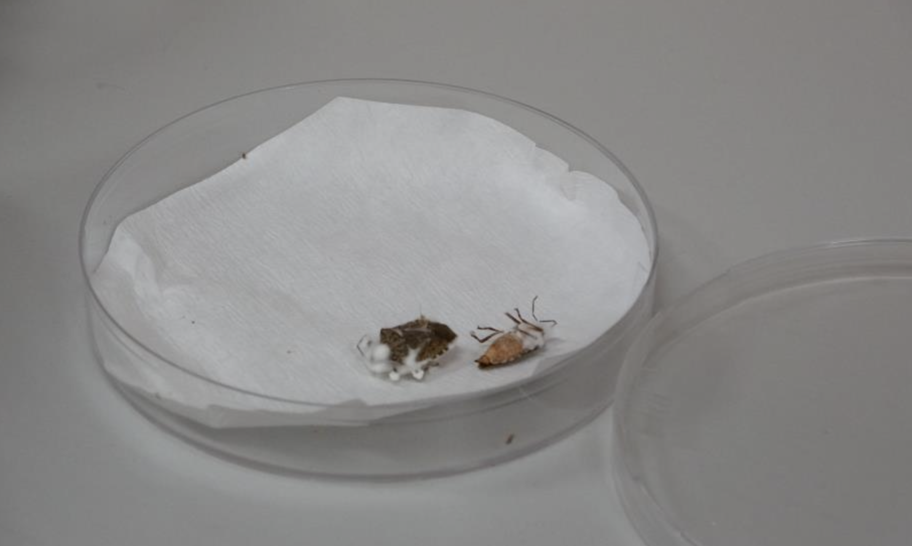 Ekran Resmi 2025 11 19 10.37.28