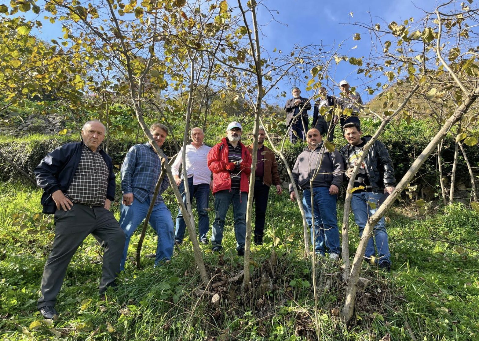 Ekran Resmi 2025 11 21 11.38.54