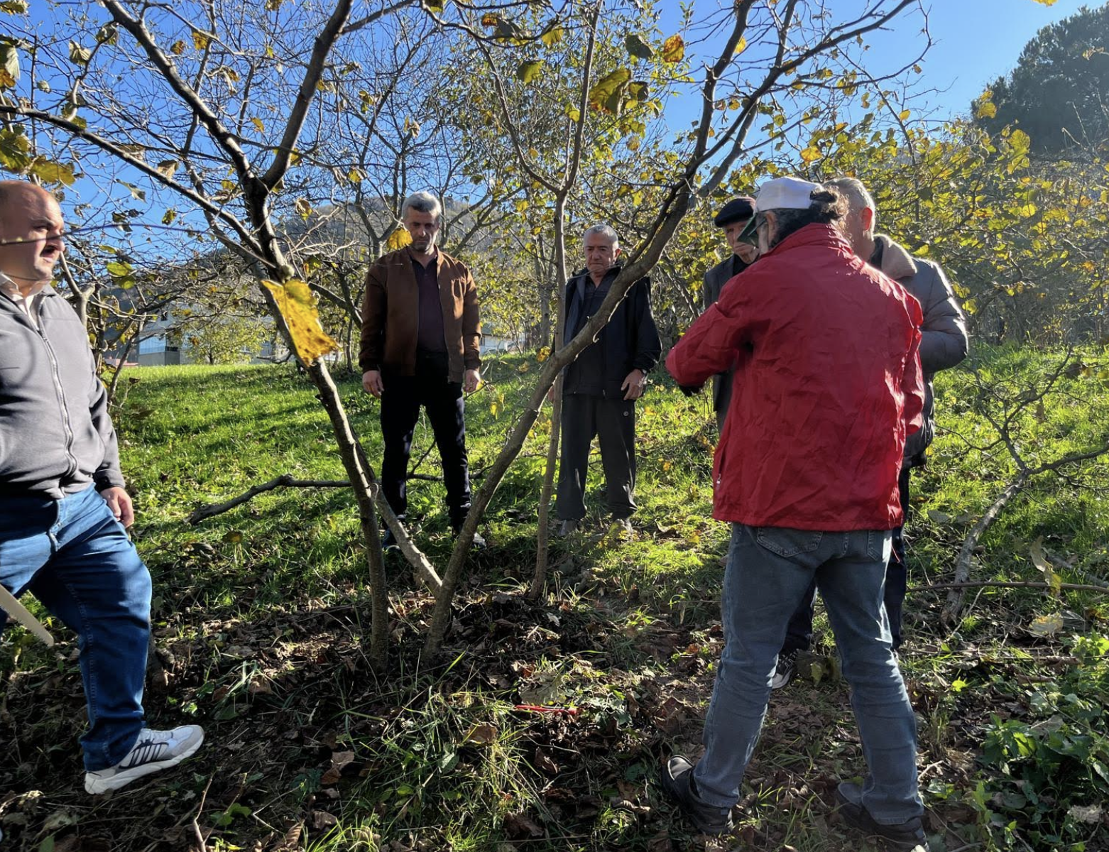 Ekran Resmi 2025 11 21 11.38.59