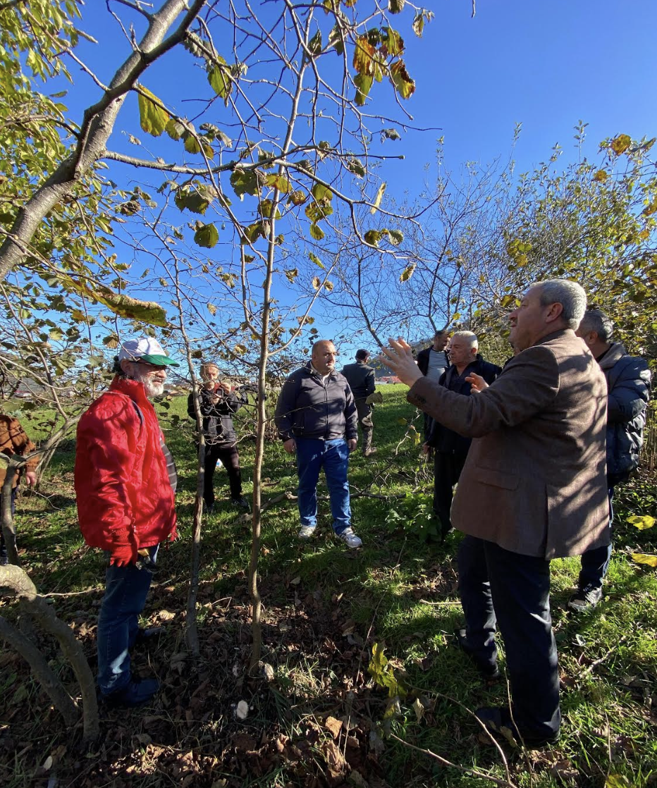 Ekran Resmi 2025 11 21 11.39.04