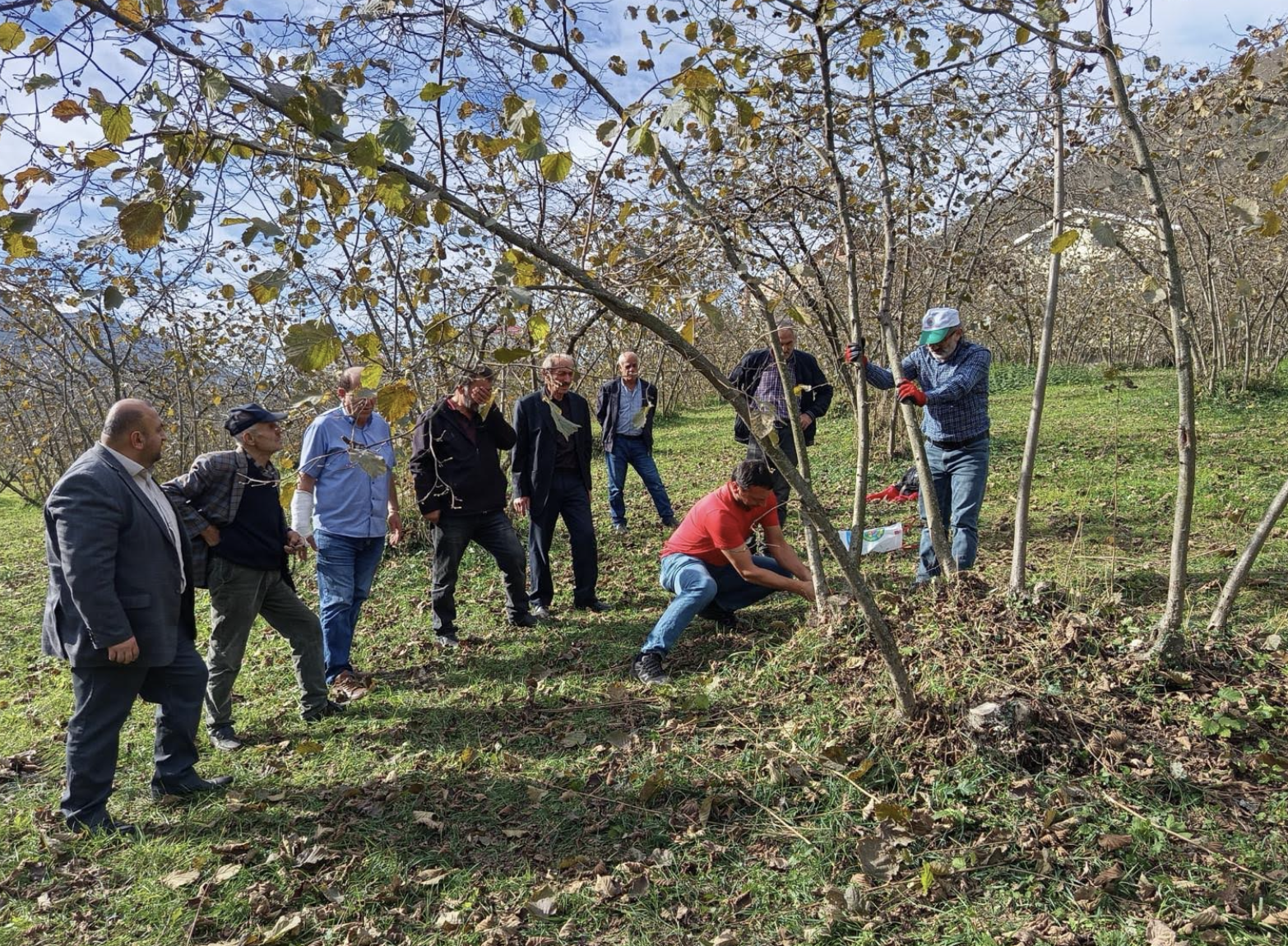 Ekran Resmi 2025 11 25 13.37.44