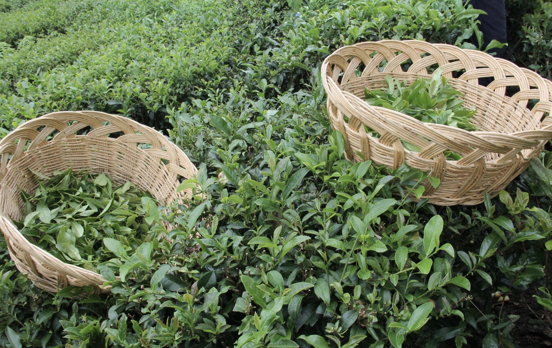 Ekran Resmi 2025 11 26 11.12.27