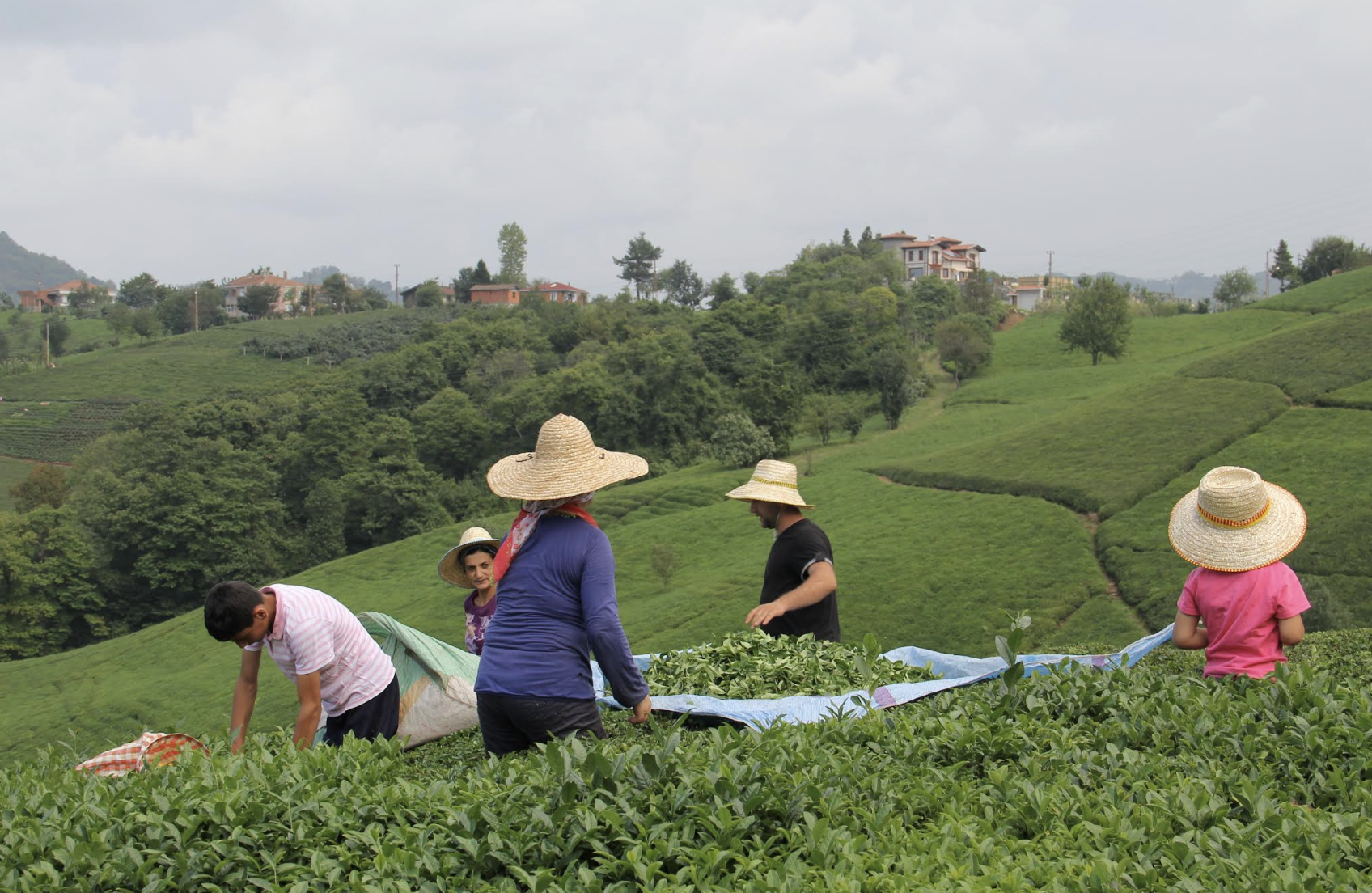 Ekran Resmi 2025 11 26 11.12.30