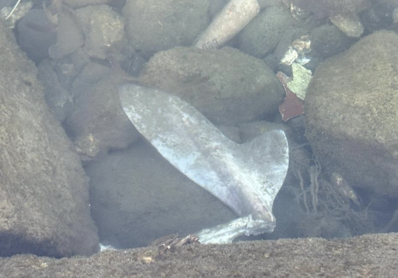 Ekran Resmi 2025 11 28 09.25.30