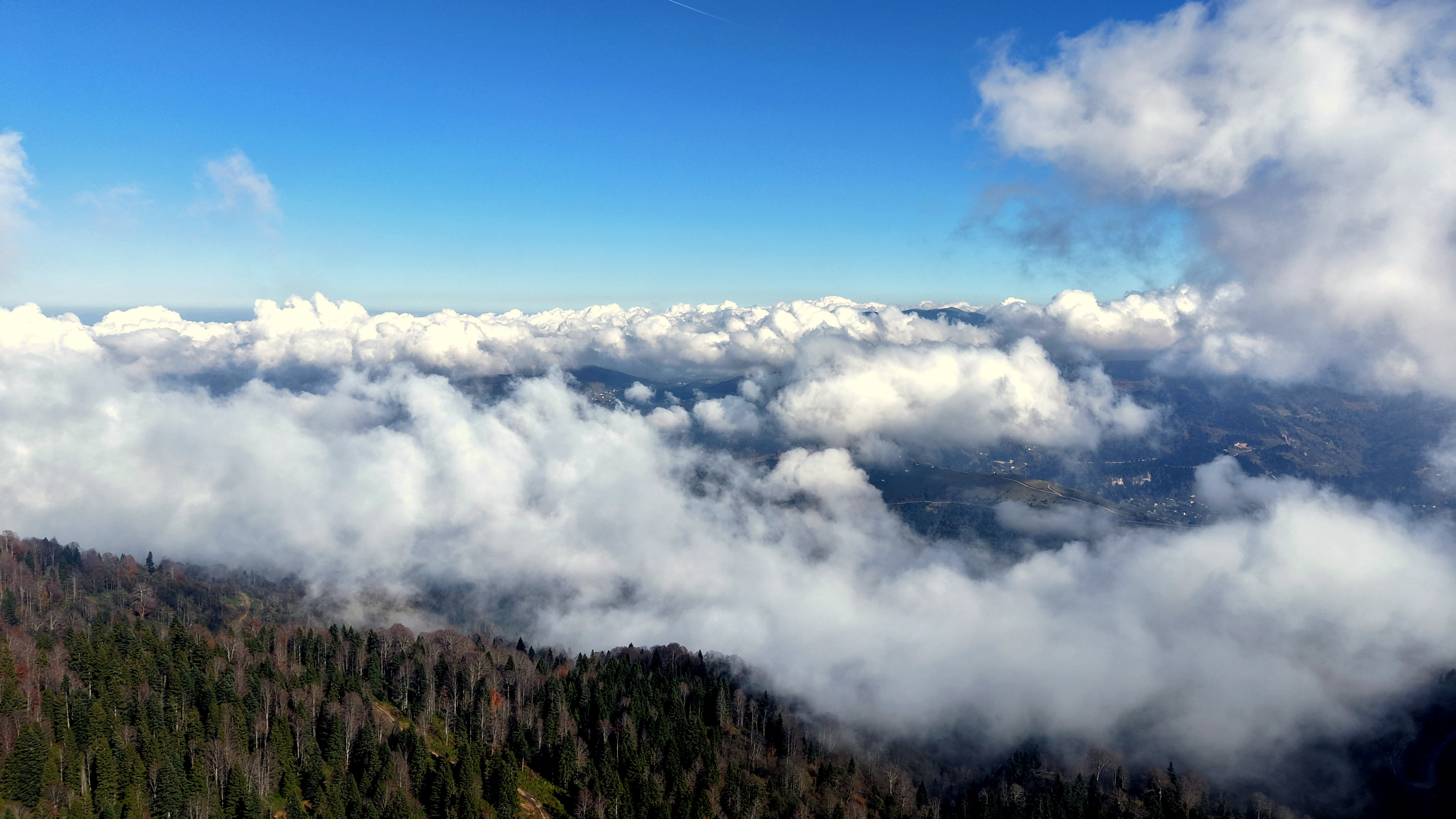 T R A B Z O N K A R A D E N I Z’ D E D O G A S O L E N I Z I R V E 996878 295719