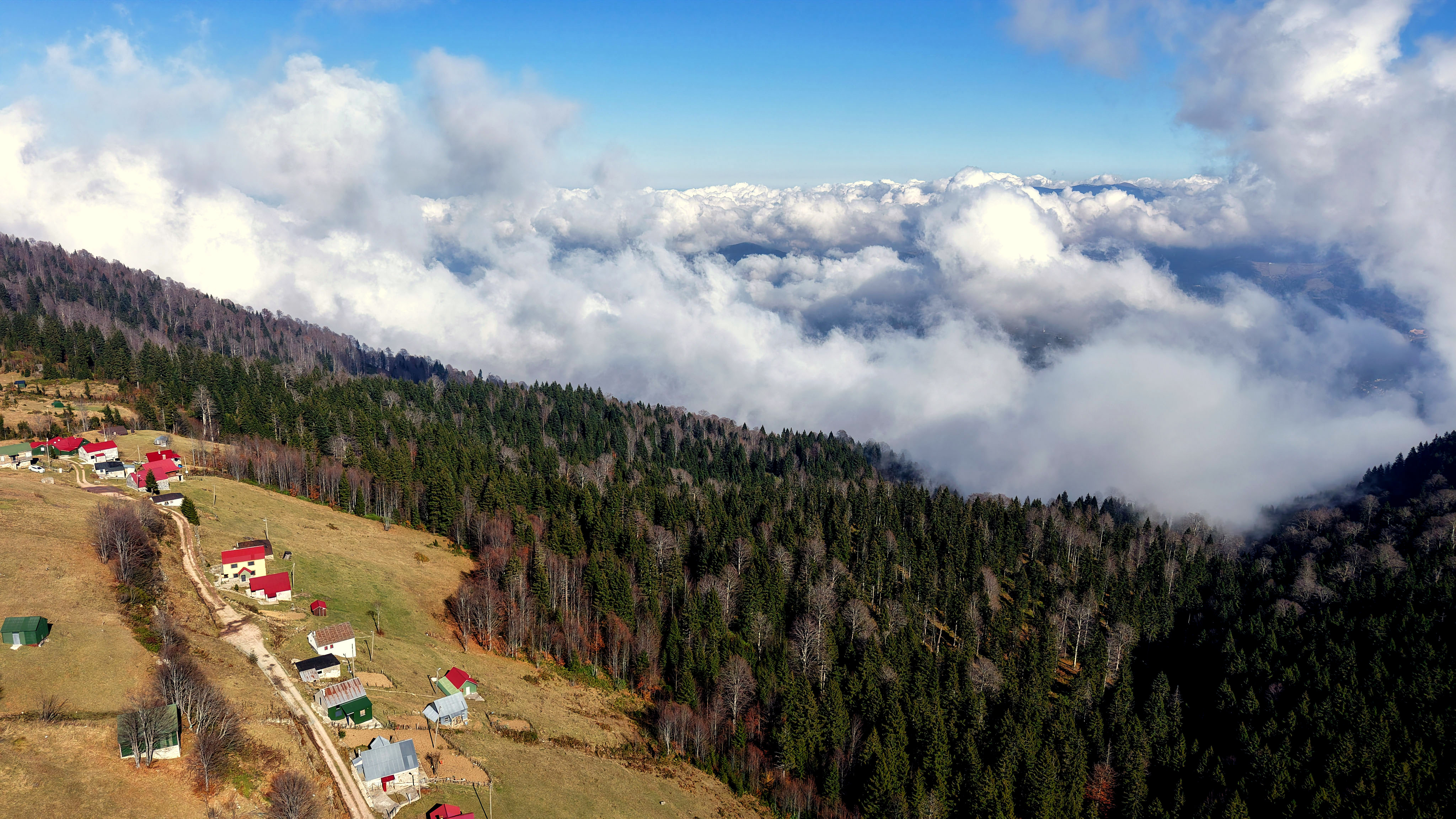 T R A B Z O N K A R A D E N I Z’ D E D O G A S O L E N I Z I R V E 996879 295719