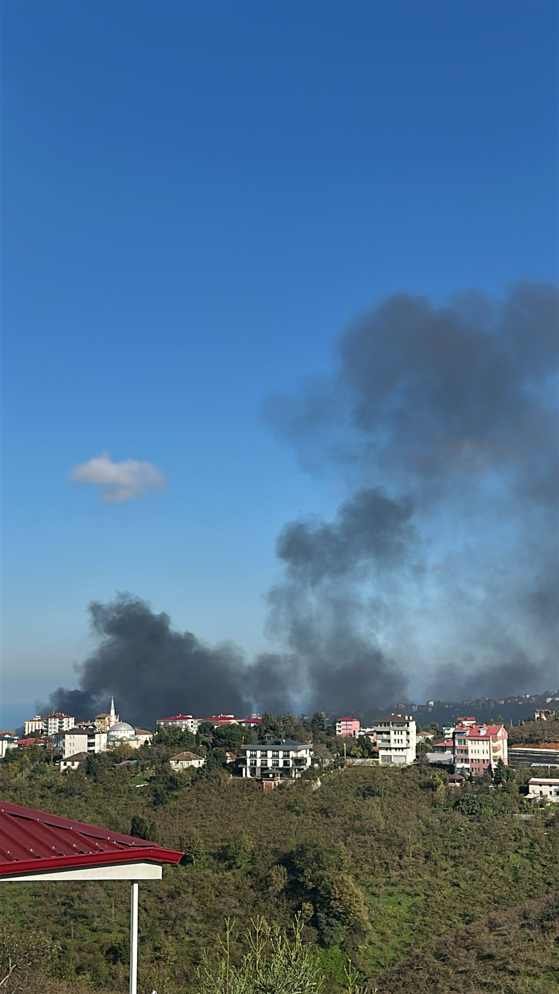 Whatsapp Image 2025 11 01 At 14.30.47