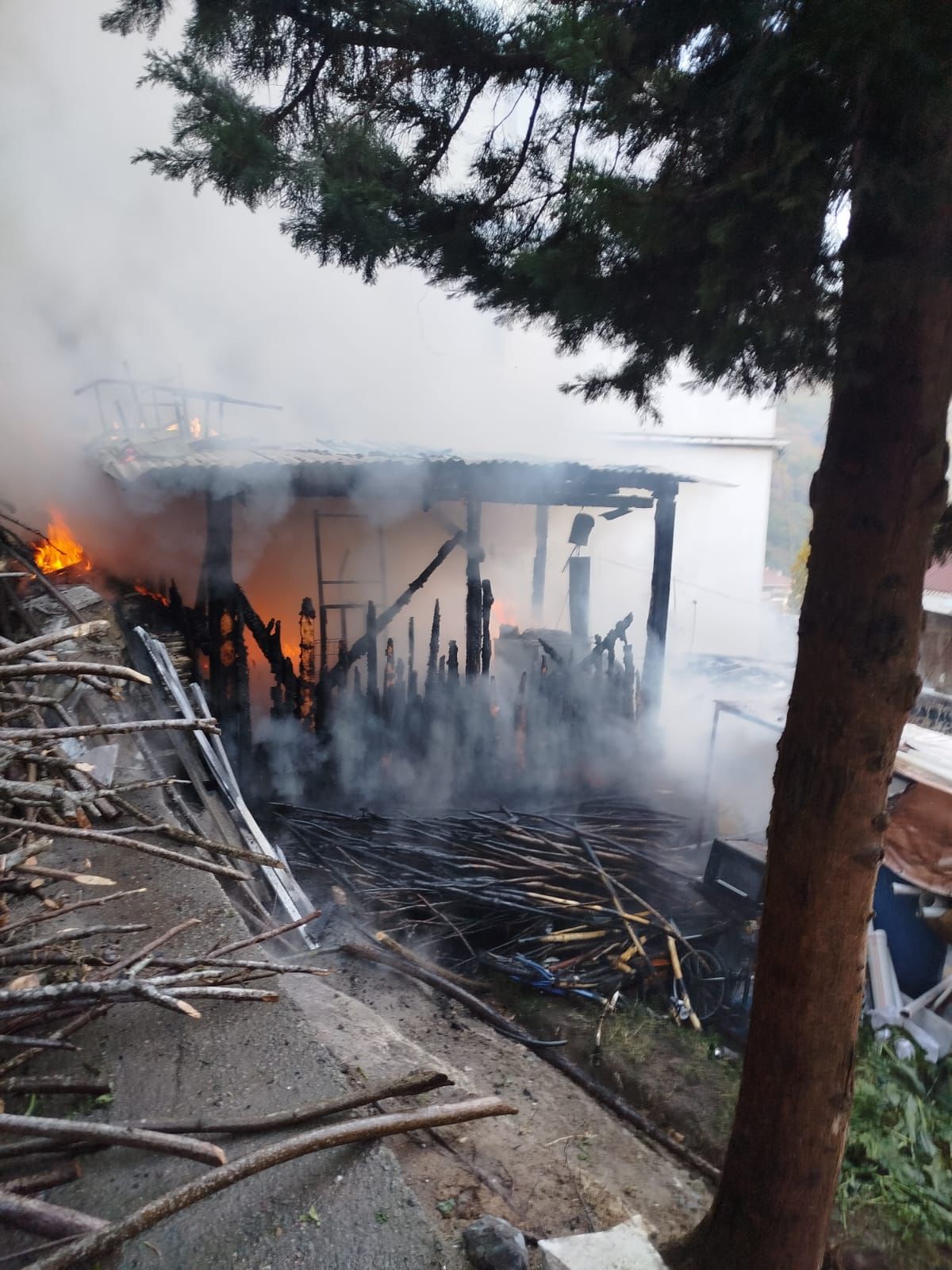 Whatsapp Image 2025 11 28 At 17.54.23