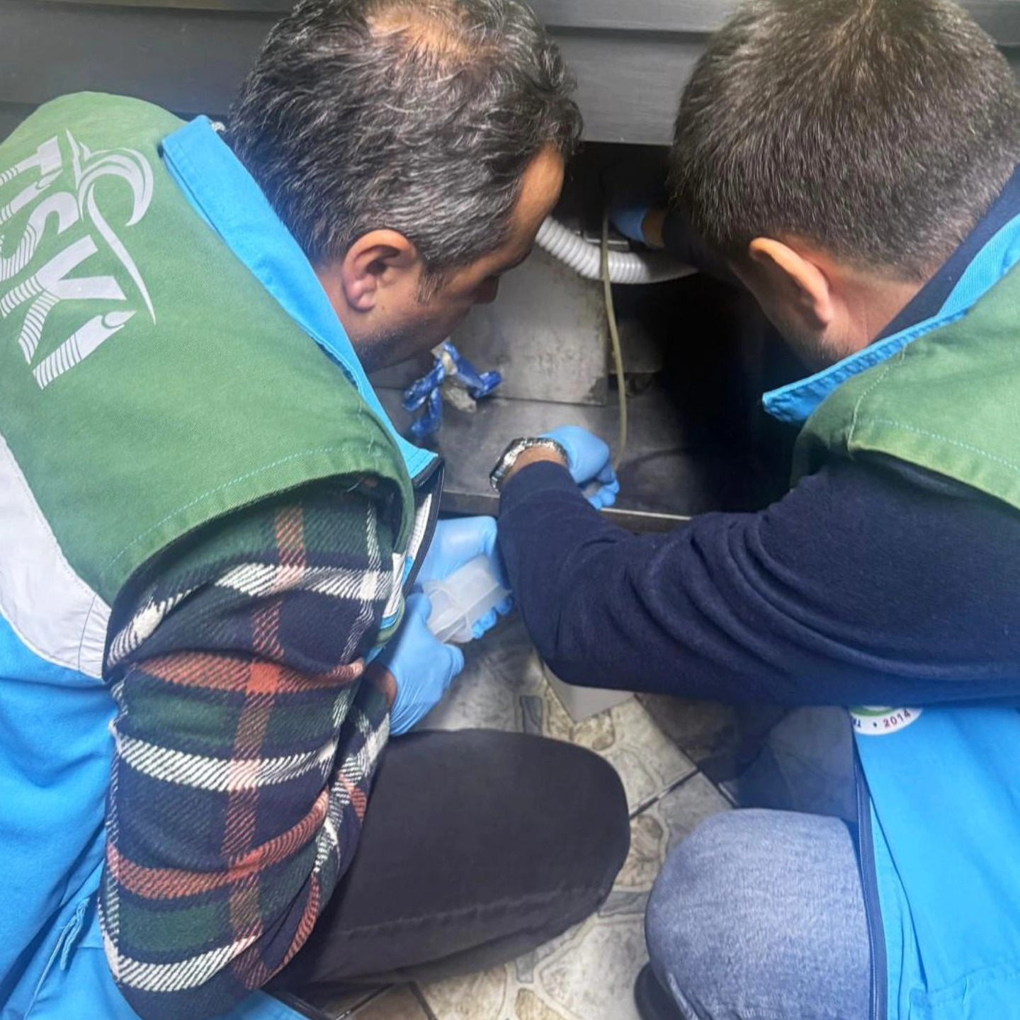 594835057 1277114914443429 8512842547450093147 N