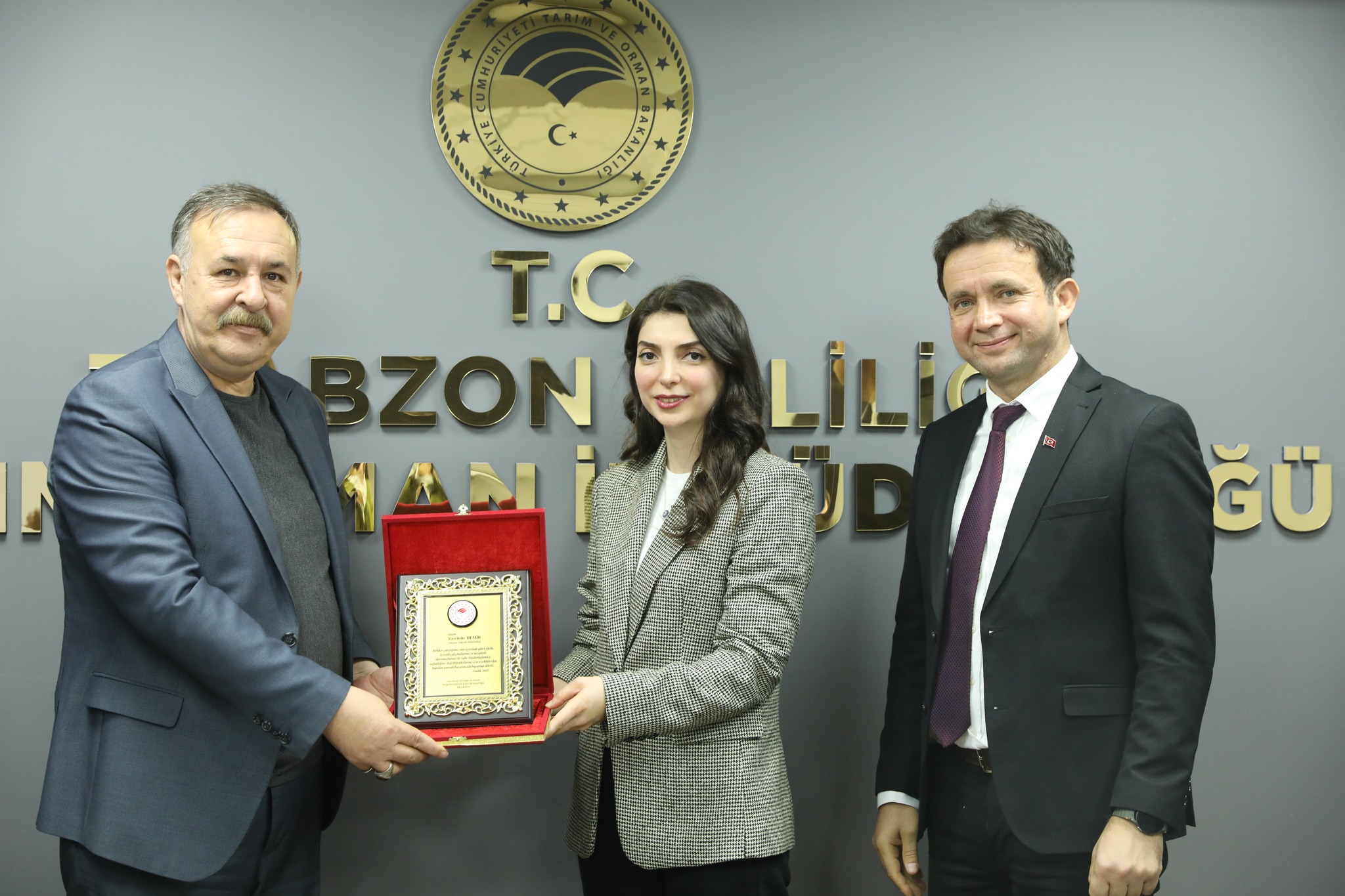 596489511 873593238393346 6433256577303390256 N