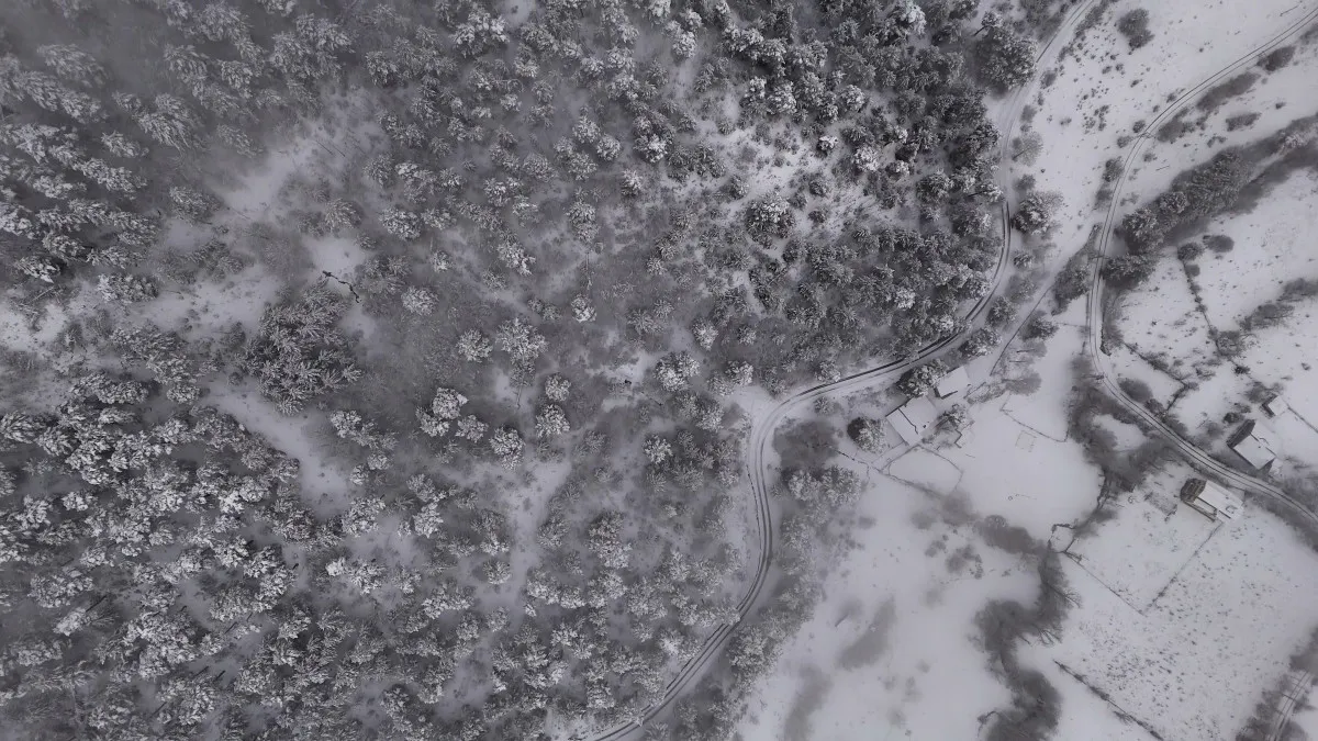 693E5E0578188519 W1200Xh675