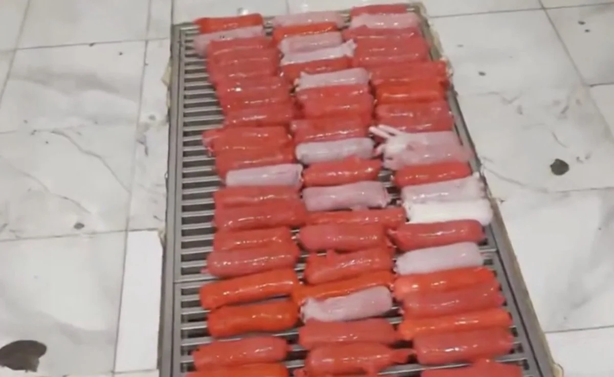 694Cdc27E74C9529 W1200Xh737