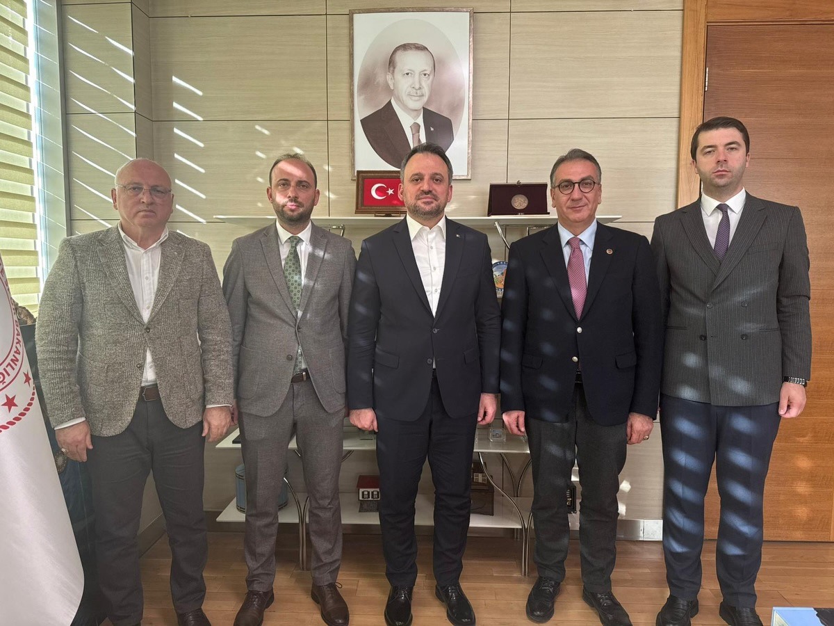 B8615990 E6Ef 4344 A669 B304D8A2Dfde