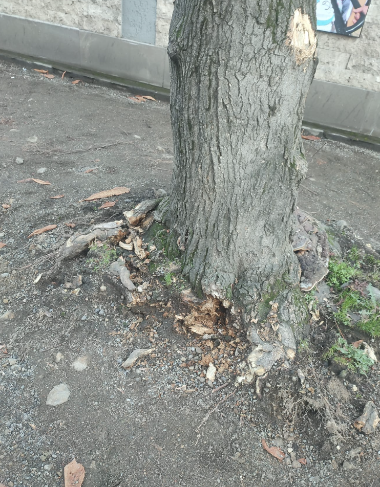 Ekran Resmi 2025 12 20 12.04.19