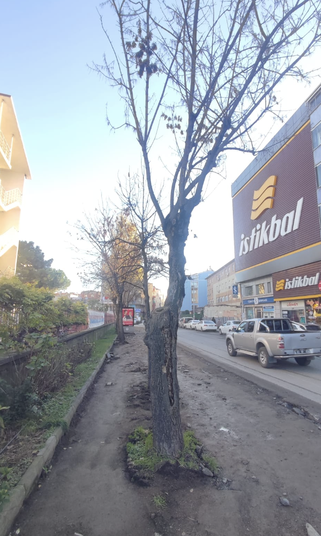 Ekran Resmi 2025 12 20 12.04.24