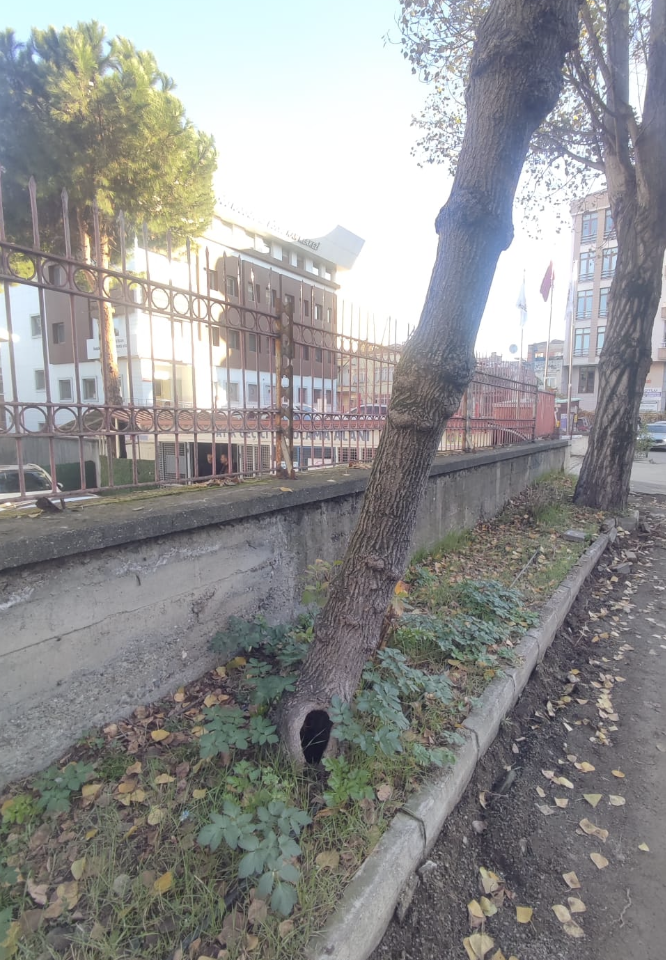 Ekran Resmi 2025 12 20 12.04.28